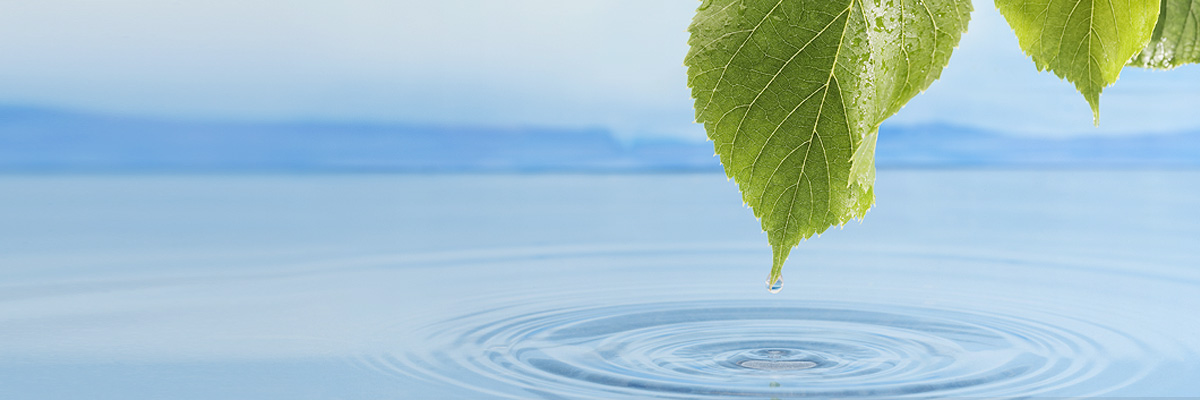 Water dripping from a leaf into the sea - Technical Products - AAK
